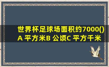 世界杯足球场面积约7000()A 平方米B 公顷C 平方千米